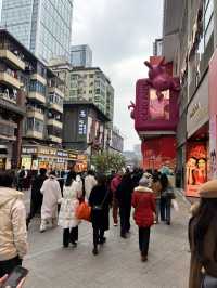 廈門✈️成都