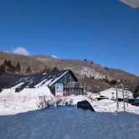 🇯🇵岩手「雫石王子飯店」 東北粉雪天堂，性價比超高的滑雪度假體驗