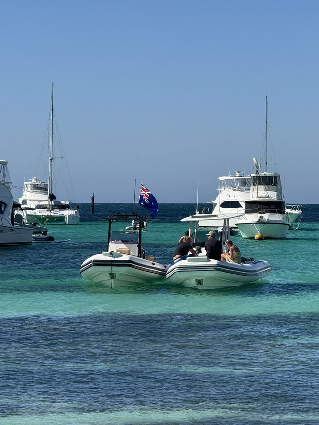 Lost in Summer Paradise of Longreach Bay Guide, Rottnest Island