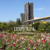 สวนดอกไม้ฮอลลี่ฮ็อค ที่สวยและปังที่สุดในขณะนี้🌸🍃