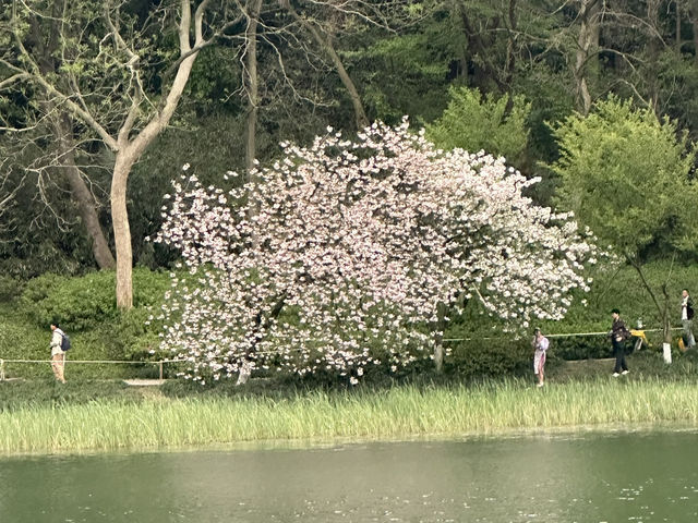 油畫一樣的靚景👍🏻👍🏻👍🏻
