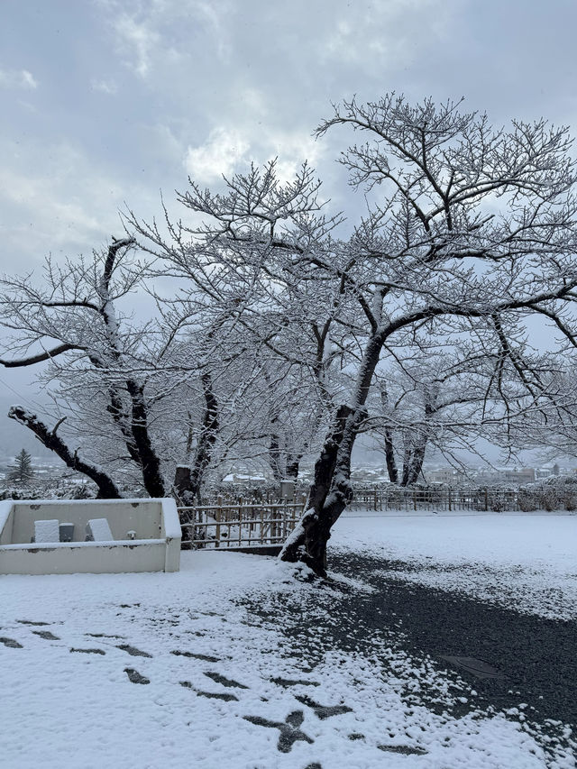 Winter Serenity at Matsushiro Castle