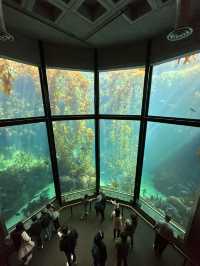 Monterey Bay Aquarium