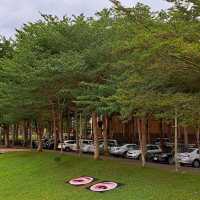 國立東華大學