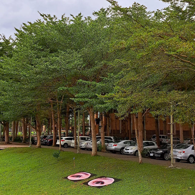 國立東華大學
