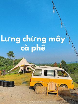LONG CHU MAY