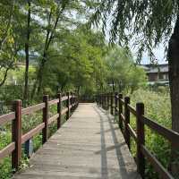 【ソウル】🇰🇷 ウンピョン韓屋村