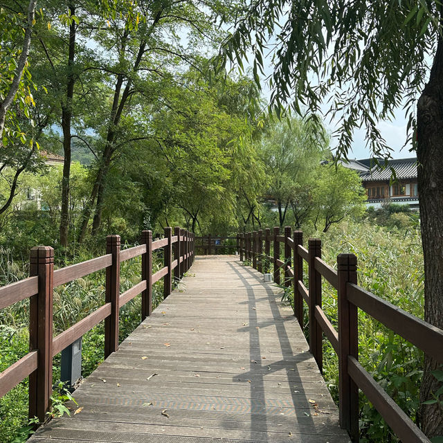 【ソウル】🇰🇷 ウンピョン韓屋村