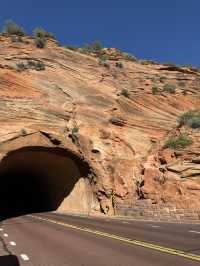 깊고 울창한 자연의 품 안에 숨겨진 보석 같은 장소 “Zion canyon”