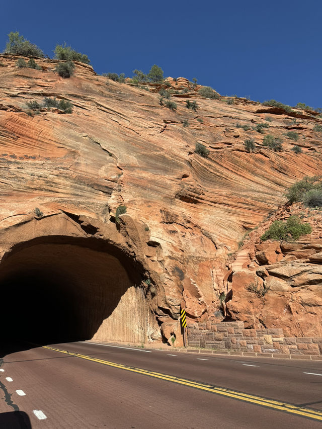 깊고 울창한 자연의 품 안에 숨겨진 보석 같은 장소 “Zion canyon”