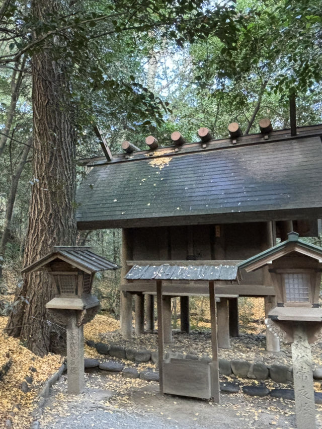 《探索日本的能量景點：熱田神宮與三大神宮》