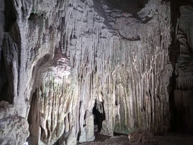 เยือนฮาลองเบย์ชมSung Sot Cave✨️