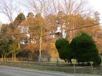 Tagajo Castle Ruins Park (多賀城跡公園)