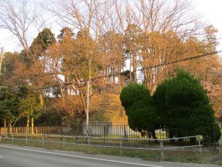 Tagajo Castle Ruins Park