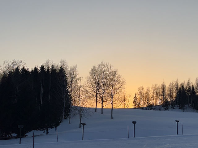 Spend A Day In Niseko Japan!!