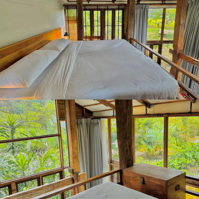 นอนโฮมสเตย์สุดชิล กลางหุบเขา เชียงใหม่ 🏠🌳