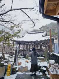 눈의 나라가 아니라 경남 월성계곡입니다❄️