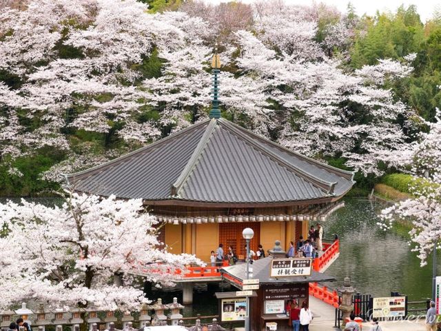 【奈良県】安倍晴明ゆかりの古刹！桜の名所でもある「安倍文殊院」
