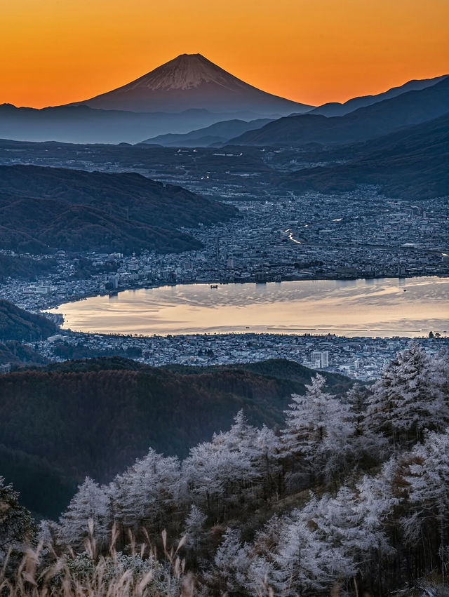 🌸【富士山櫻花季｜絕美打卡攻略】🌸