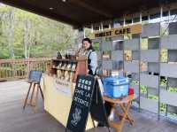 เดินป่าชิลๆ ที่ป่านาซุเฮเซโนะโมริ 