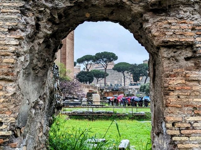 Learn about the fascinating ancient city of Rome here at the Roman Forum.