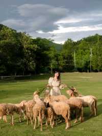 เที่ยวสวนผึ้งราชบุรี ที่ Alpacahill