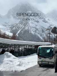สิ่งที่ควรรู้ ก่อนไป Bipenggou (ปี้เผิงโกว) เฉิงตู