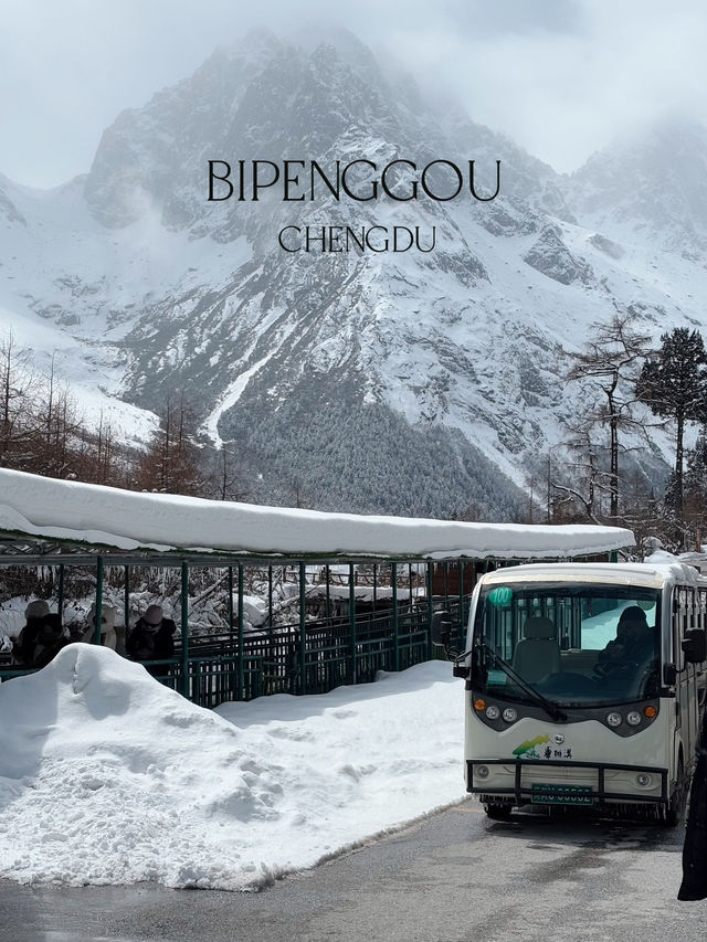 สิ่งที่ควรรู้ ก่อนไป Bipenggou (ปี้เผิงโกว) เฉิงตู