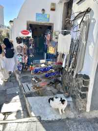 Spring Trip to Santorini: Exploring Oia💐