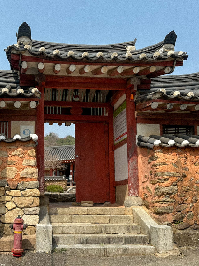 무료로 다양한 봄꽃을 볼 수 있는 곳