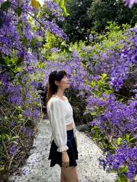 夢幻紫色花海 南投賞花秘境