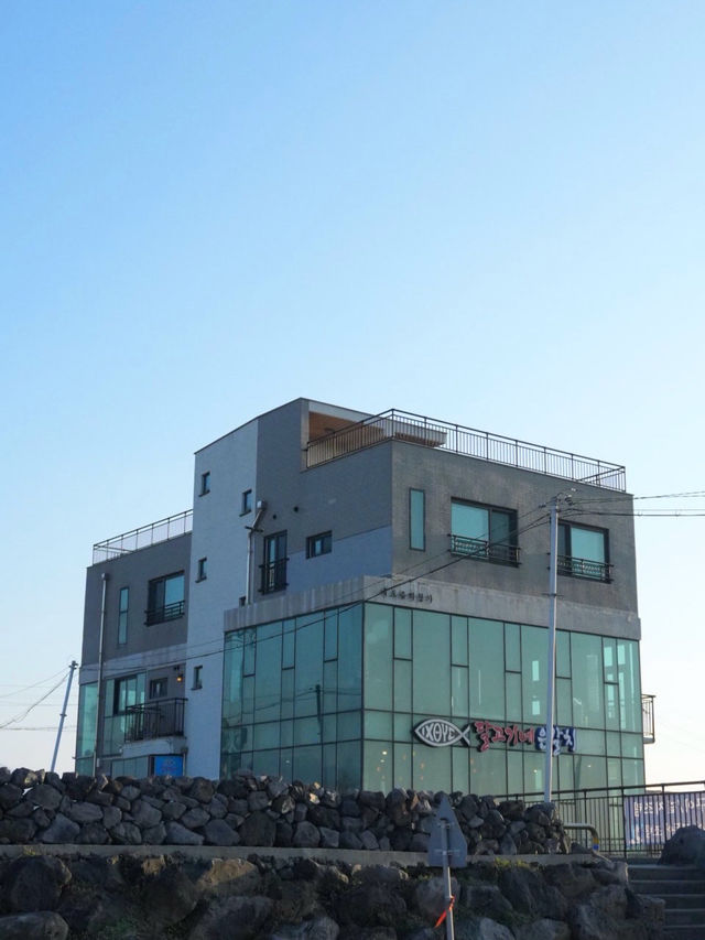 🤎☕️제주 LP바 오션뷰 내도음악상가 