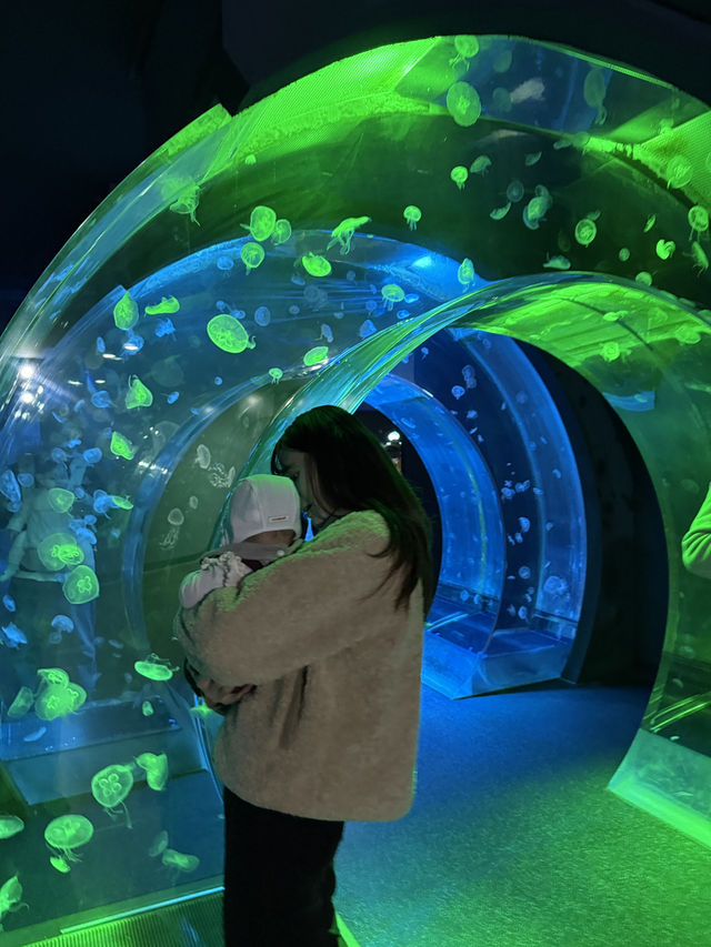 아기랑 서울 근교 여행하기 좋은 아쿠아리움🐟