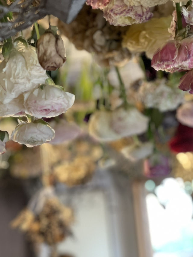【茨城×オシャレなお花屋さん】天井に吊るされたドライフラワー フラワーアレンジメント教室