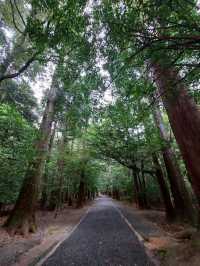 【三重おおだい周辺】自然豊かな環境で羽根を伸ばしてみよう✨
