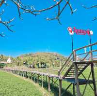 สะพานไม้ไผ่โขปองจู้