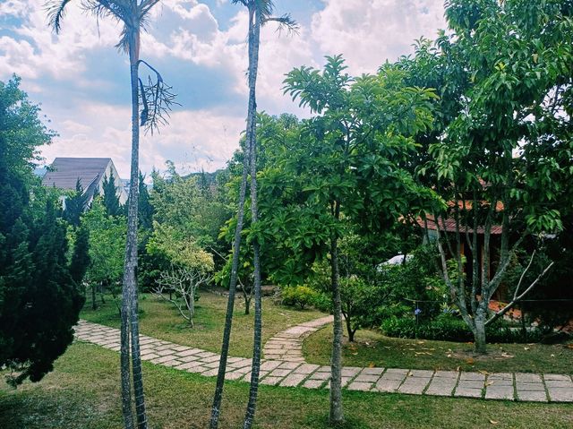 越南大叻市中心著名寺廟景點：觀音廟Hidden Buddhist temple，祈福非常靈驗，適合打卡拍照📸冥想