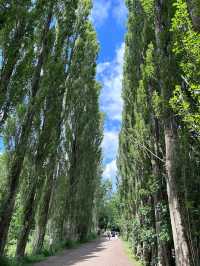 Fletcher Moss Botanical Gardens
