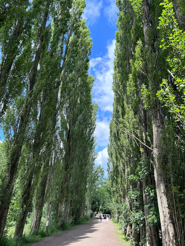 Fletcher Moss Botanical Gardens