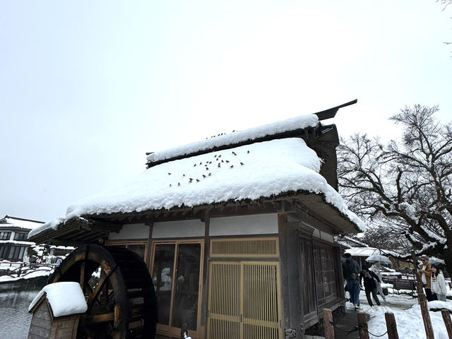 銀白世界的忍野八海