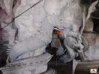 วัดป่าพระพุทธบาทภูดิน