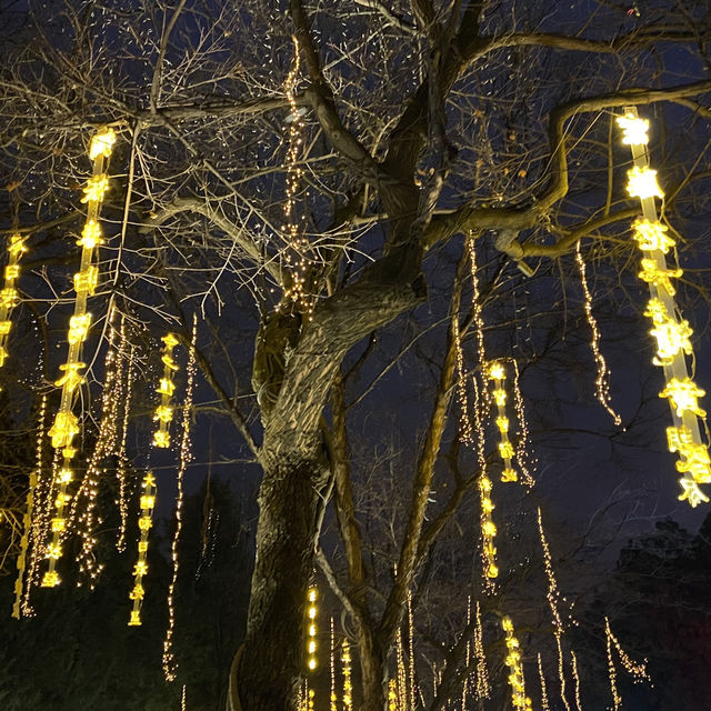 穿越時空來到盛唐夜宴
