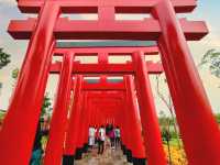 ฮิโนกิแลนด์ (HINOKI LAND)
