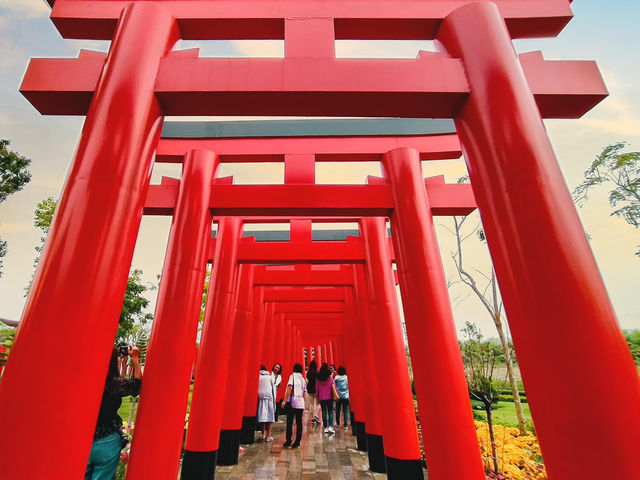ฮิโนกิแลนด์ (HINOKI LAND)