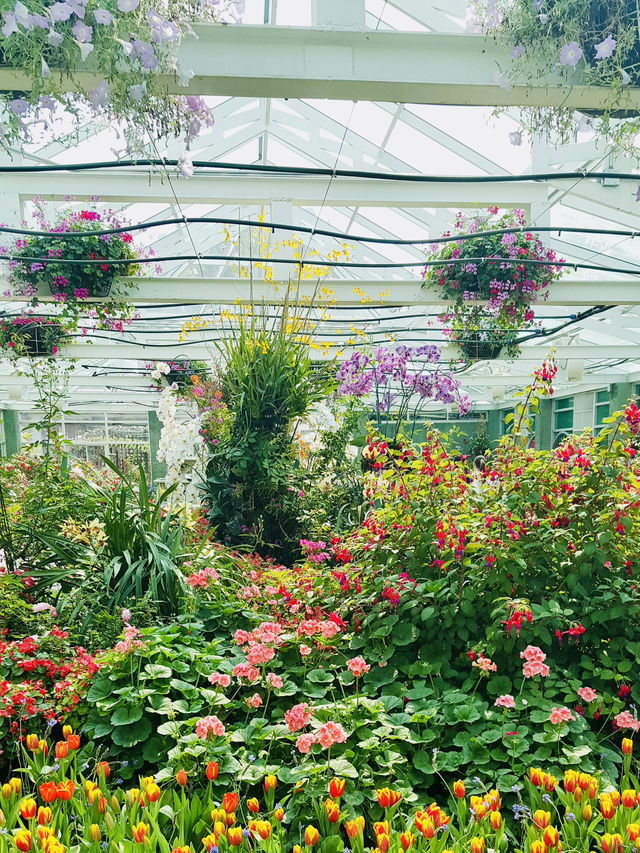 Exploring the Floral Wonders of Royal Park Rajapruek