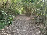 中城公園（中城村）