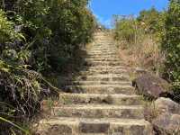 Thrilling Views: Ngong Ping 360 Rescue Trail Adventure