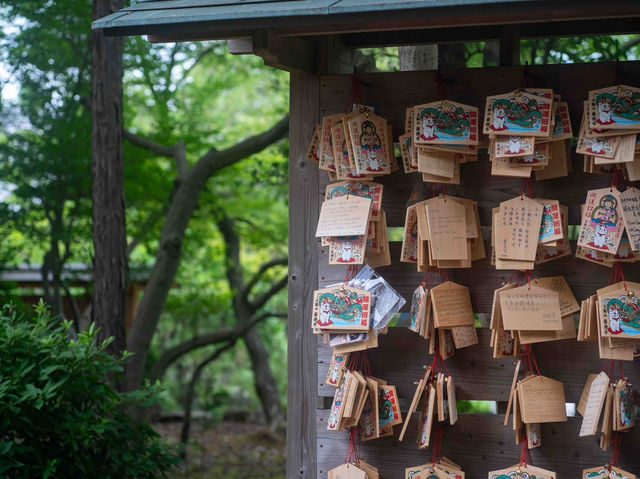 福を呼び込む春のひととき！豪徳寺スナップ🐾🌸