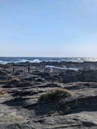三浦城ヶ島海岸からの景色