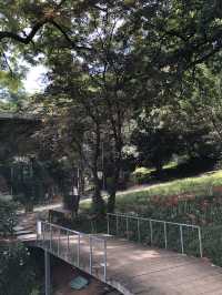 🏠 광주 우일선 선교사 사택, 시간의 흔적을 간직한 공간